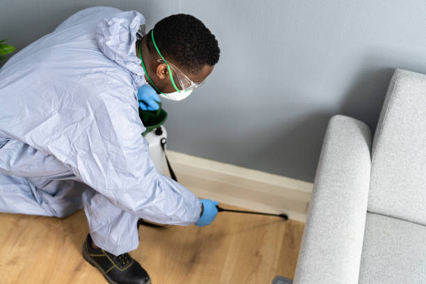 Trusted South Palm Beach, FL Pest Control Experts